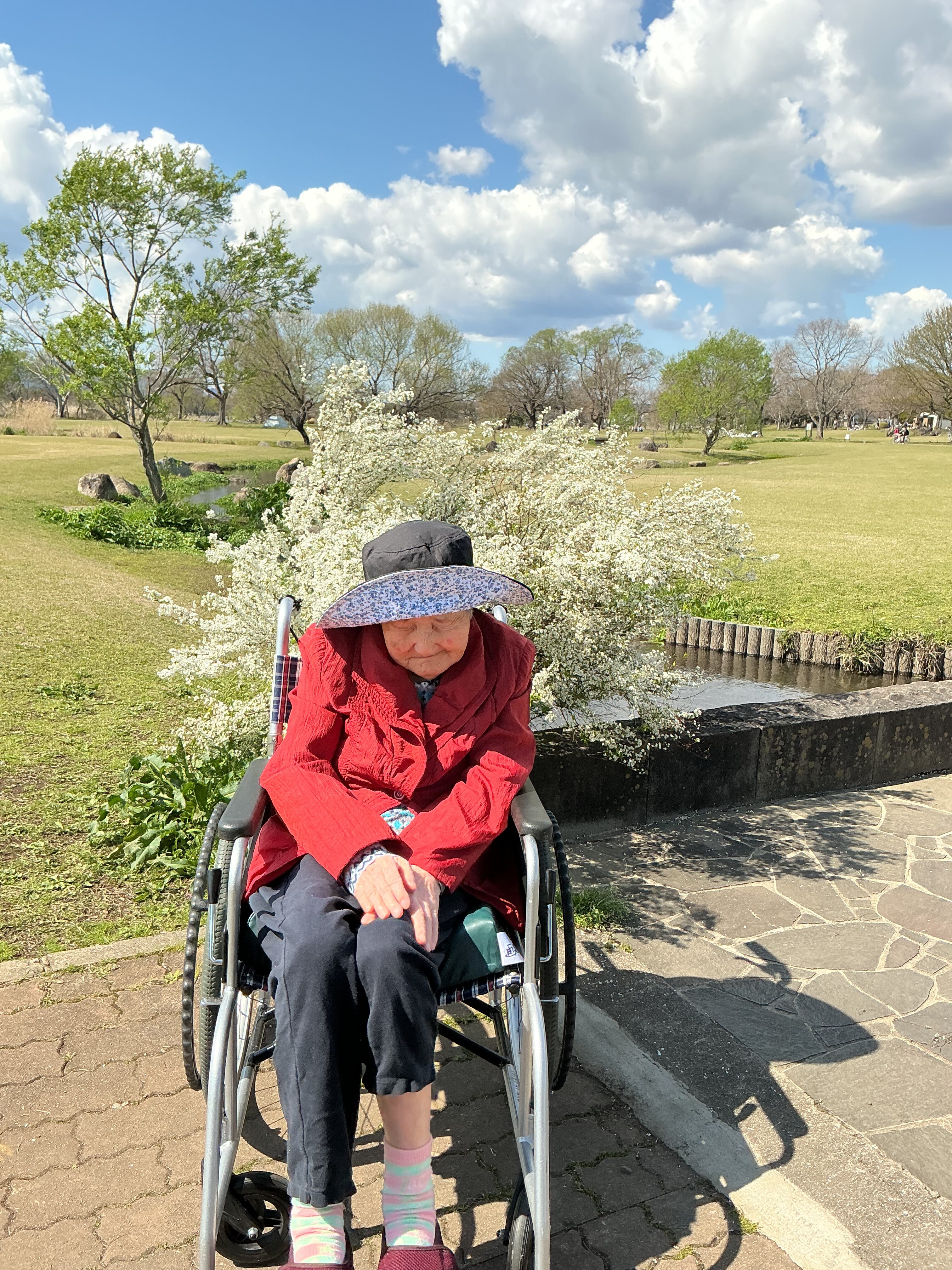 コラム：本文中画像