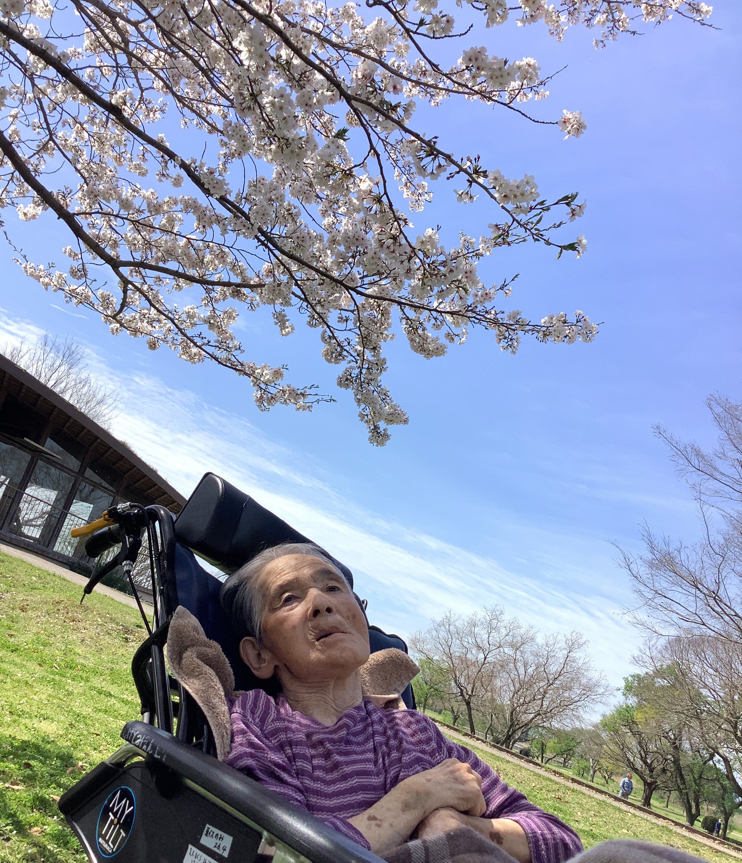 コラム：本文中画像